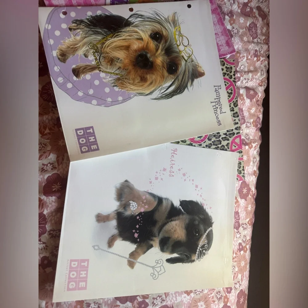 Adorable! Early 2000’s Girly Portfolio folders